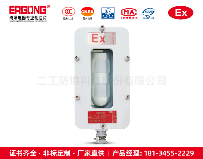 防爆入侵隔爆型探测器厂家